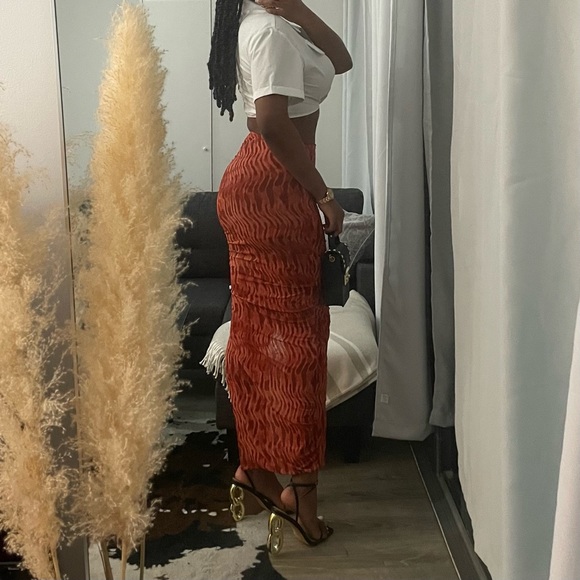 Zara Printed Tulle Skirt - Picture 2 of 4